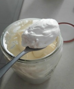 Melhor iogurte grego para dieta